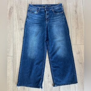 American Eagle Outfitters Dreamy Drape Stretch Low Rise Baggy Wide Leg Jean